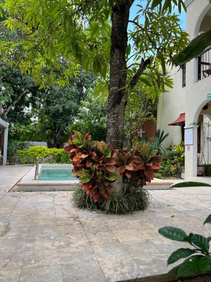 Casa Valladolid Boutique Hotel Valladolid (Yucatan) Exterior foto